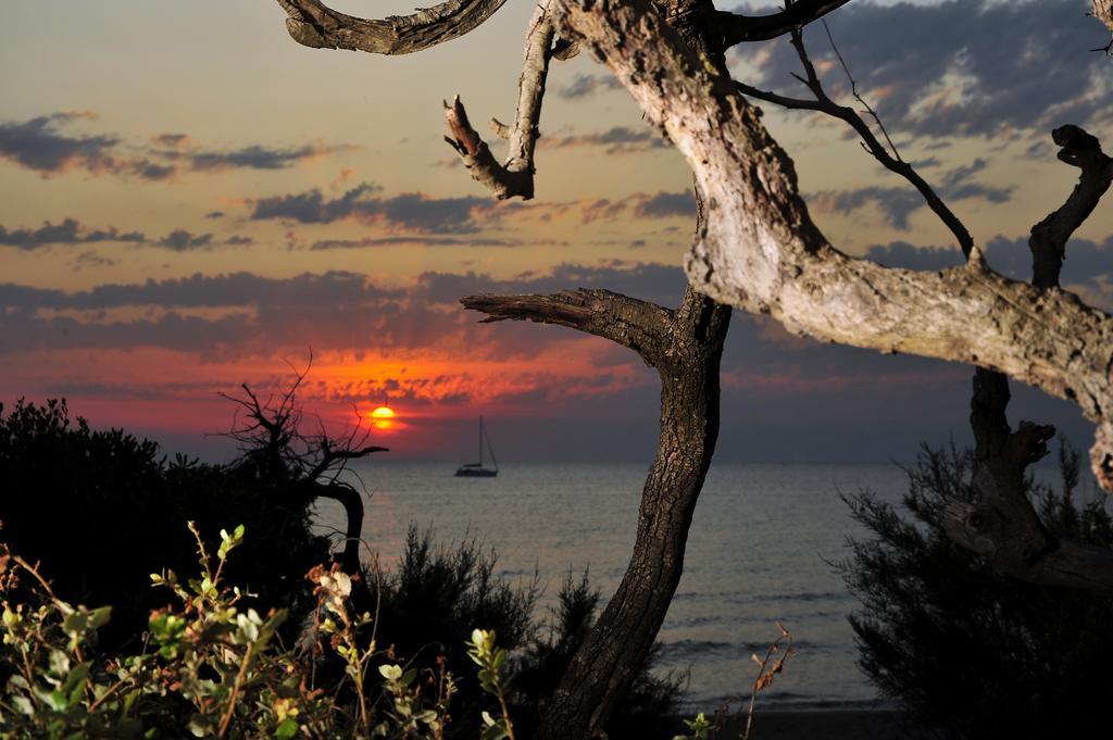 Hotel Aurora San Vincenzo Dış mekan fotoğraf